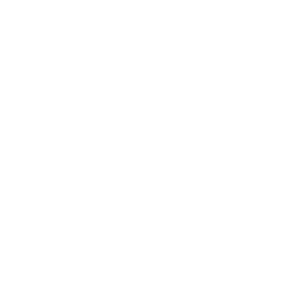ico AE icon